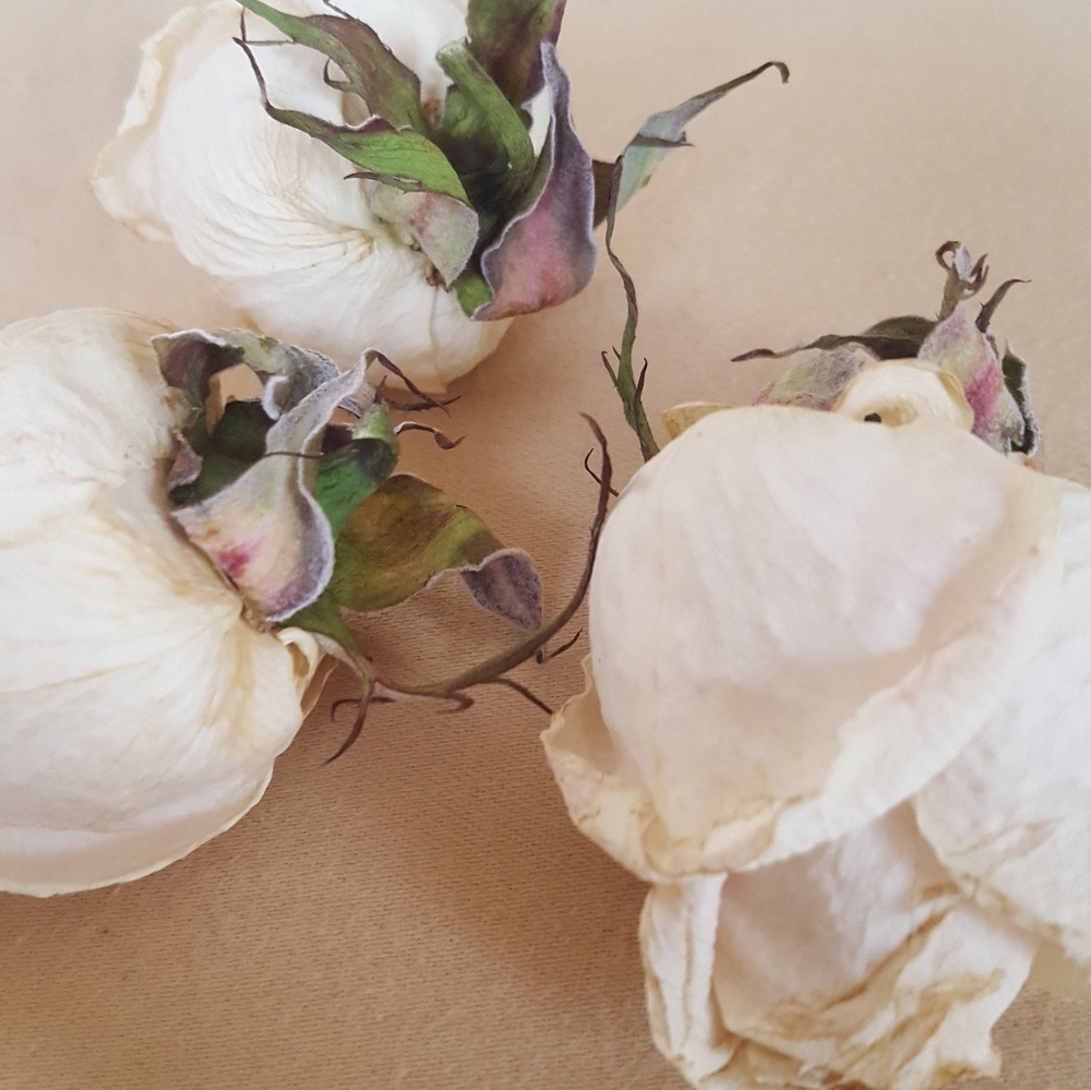 Meet your Posher, Melanie